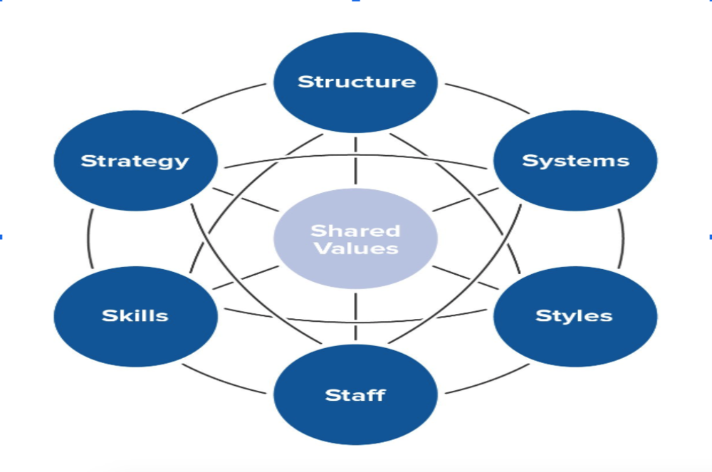 Organisational Review, Design